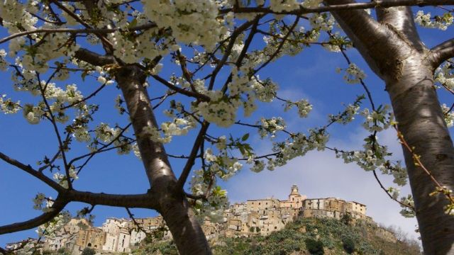 Italien Kalabrien Strandurlaub Badeurlaub Belmonte Calabro