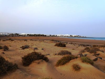 Kanaren Lanzarote Urlaub Strandurlaub Badeurlaub Sonne Sandstrand