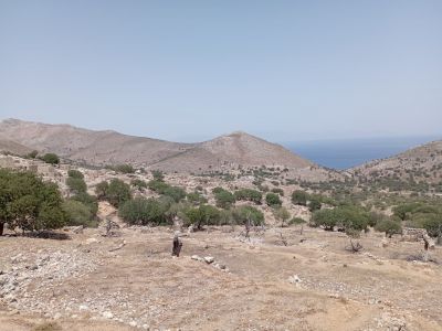 Karge Vegetation Tilos