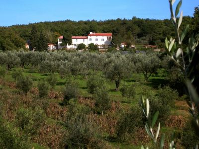 Bio-Landhaus in der Toskana ökologisch traditionell mit Restaurant