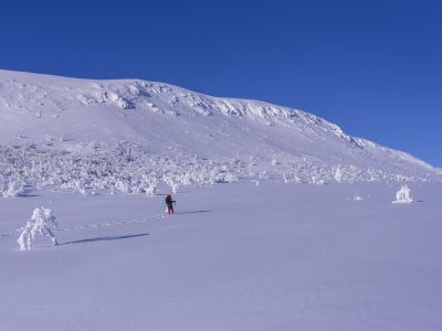 Schneewanderung Schweden Winterurlaub Familienreise
