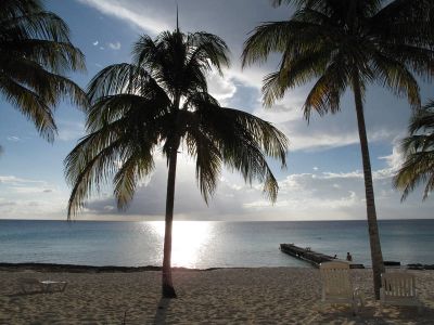 Palmenstrand