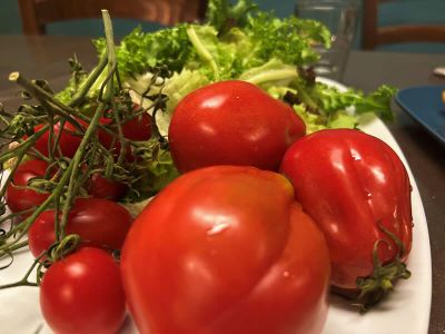 Eigener Anbau Tomaten Salat Nachhaltigkeit