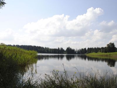 wanderreise knig ludwig weg foggensee