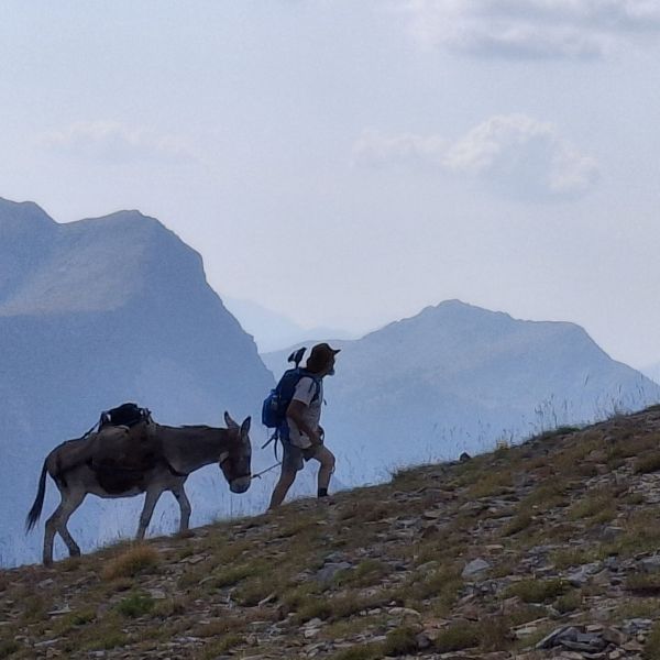 Eselwandern in Frankreich - Provence -  Sdalpen