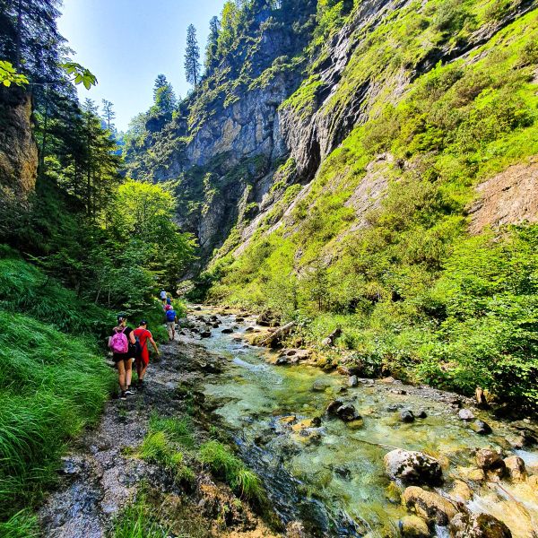 Bio-Urlaub im Thierseetal - Tirol - sterreich