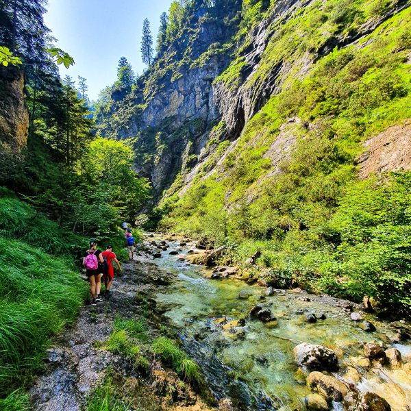 Bio-Urlaub im Thierseetal - Tirol - sterreich