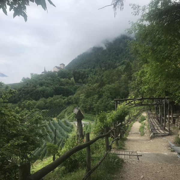 Wandern von Sdtirol zum Gardasee - ohne Gepck durch die Alpen