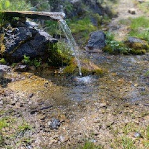 Wandern ohne Gepck in Montenegro: von Alm zu Alm im Nationalpark Bjelasica/Mokra Gebirge 