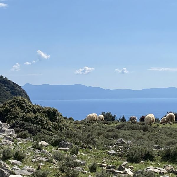 Albanien Berge und Meer - Wandern und Trekking an der K�ste
