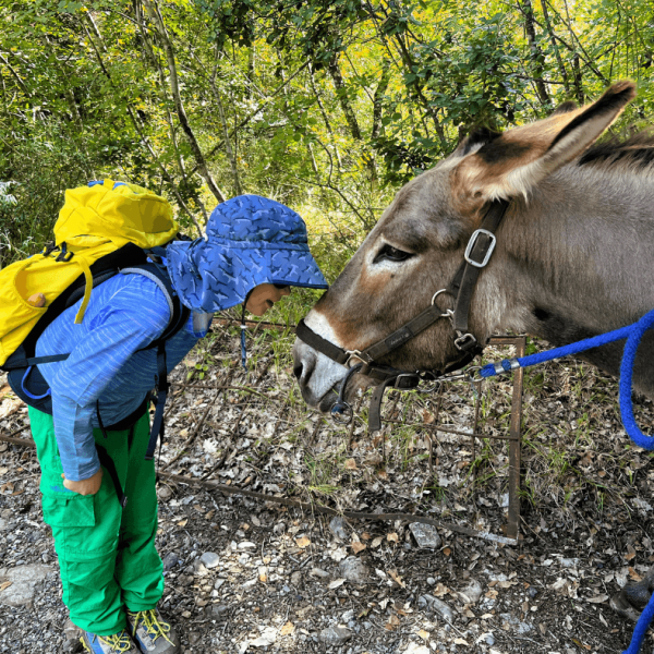 Eselwandern in der Toskana - Val di Cecina - Italien