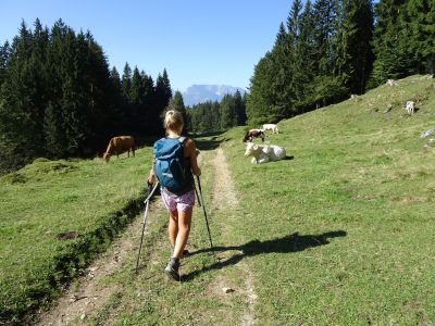 wandern ohne gepaeck bayerische alpen