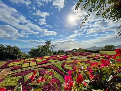 madeira wandern renatour blumen funchal