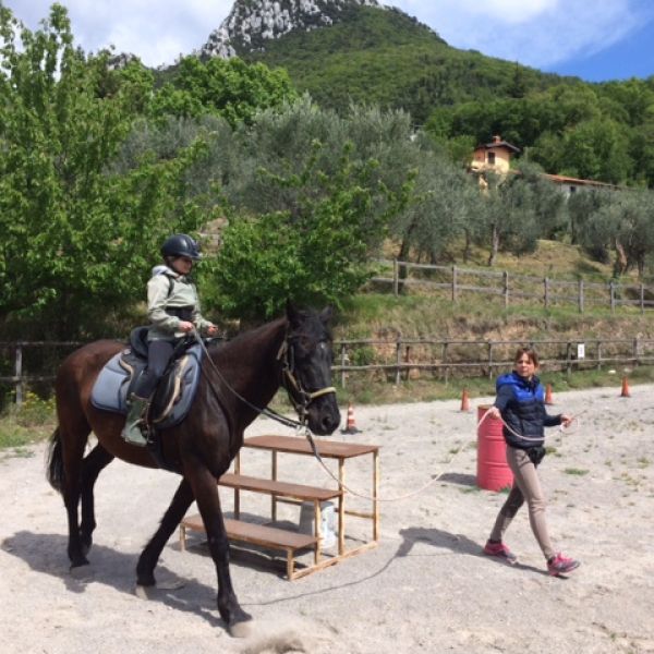 Gardasee: Urlaub auf dem Reiterhof - Italien