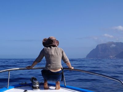 whale watching la gomera kanarenurlaub