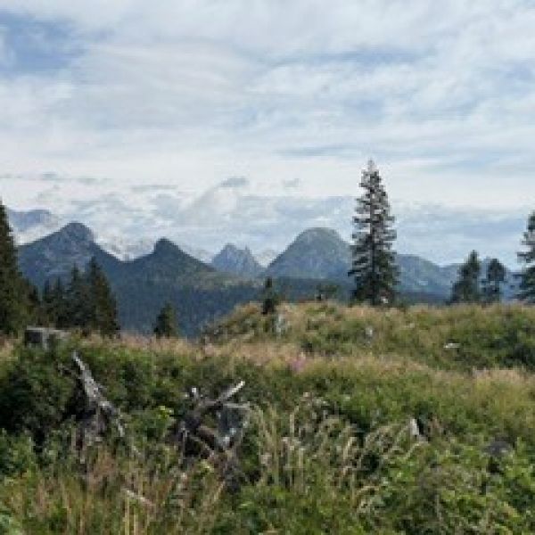 Slowenien: Trekking vom Soca Tal zum Bohinj See