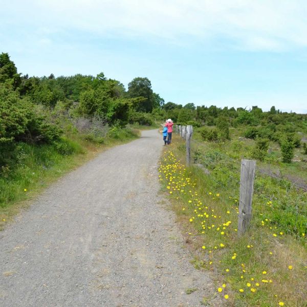 Familienurlaub auf der Ostseeinsel Bornholm  Dnemark