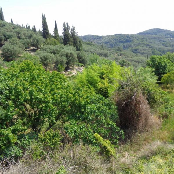 Bio-Agriturismo im Norden Korfus