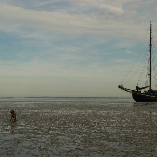 Familien Segeltrn IJsselmeer - Niederlande