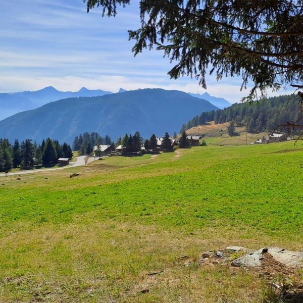 Genusswandern ohne Gepck in den Bergen des Val dAyas - Aostatal