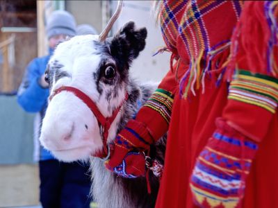 Rentier und Tracht beim samischen Fest (Foto: Sandra Peter und Jochen Oetinger)