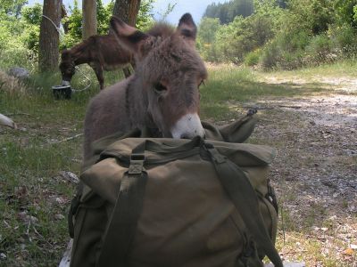 Wanderung mit Eseln in Italien aktiv unterwegs