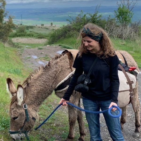 Eselwandern in der Toskana - Val di Cecina - Italien
