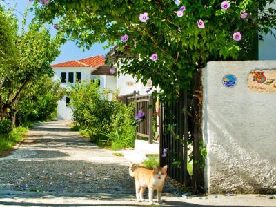 Yoga-Urlaub am Meer Griechenland Pilion