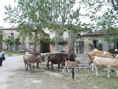 Das Landesinnere des Cilento.