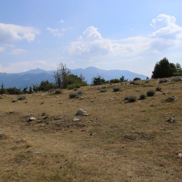 Bergwandern im Nationalpark Mercantour - Sdalpen - Frankreich