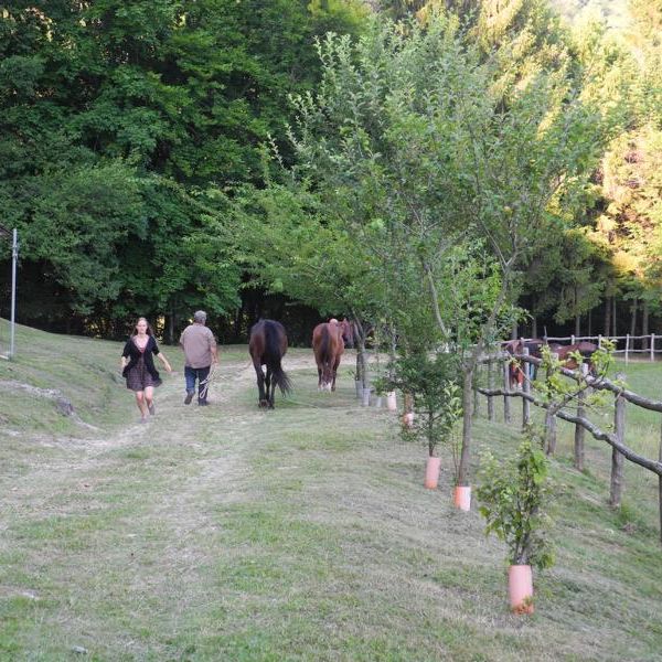 Gardasee: Urlaub auf dem Reiterhof - Italien