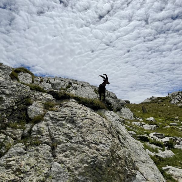 Bergwandern ohne Gepck im Valle del Lys - Aostatal