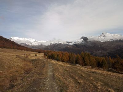 monte rosa italien ayas tal panorma