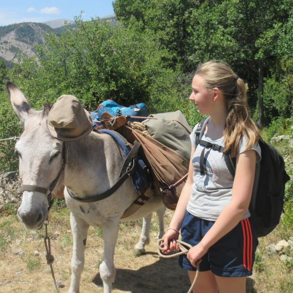 Eselwandern in Frankreich - Provence -  Sdalpen