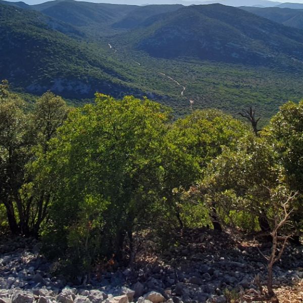 Atemberaubend und wild - Berg- und Kstenwanderung auf Sardinien
