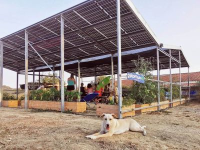 sunfarming villa kalimeera photovoltaik korfu hund
