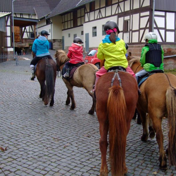 Bio-Pension im Dreilndereck - Niedersachsen