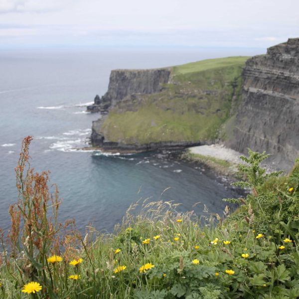 Öko-Pension in Irland - Gälische Kultur und wilde Küsten