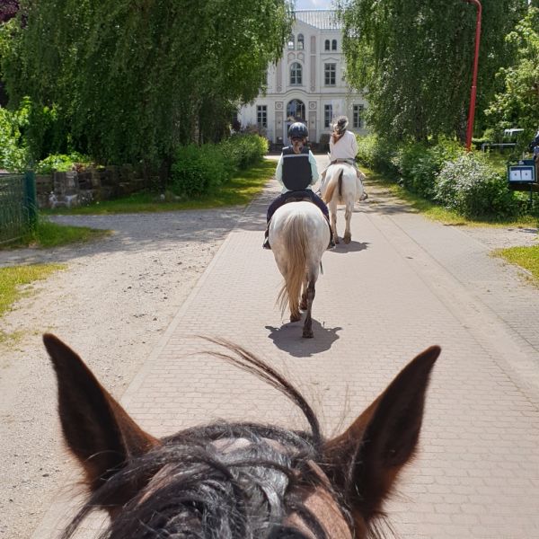 Schloss Marienhof - Familienurlaub an der Mecklenburgischen Seenplatte